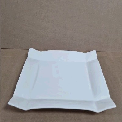 Тарелка фарфоровая 10 inch